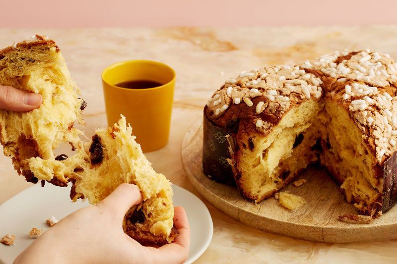 Sour Cherry and Custard Panettone