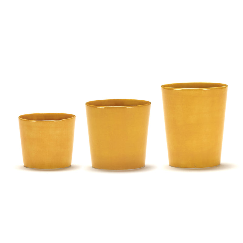 Sunny Yellow Cups